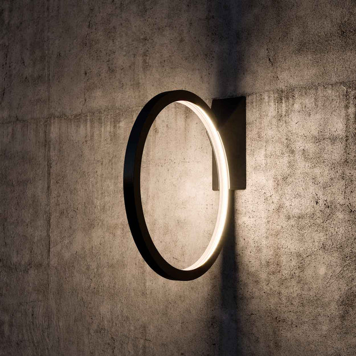 "O" Wall or Ceiling Light